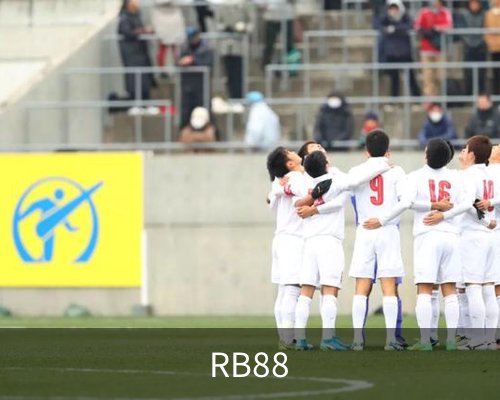 RB88简介 